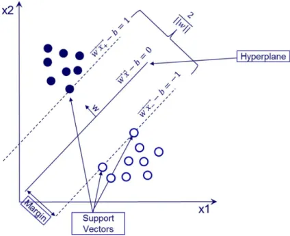 Figure 5: Schematic representation of two data classes in a 2D space by the SVM algorithm