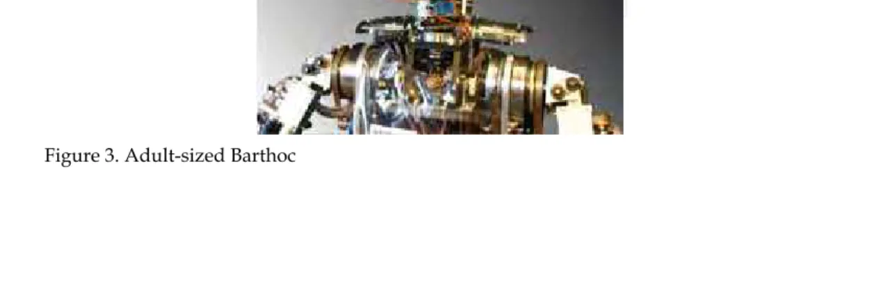 Figure 3. Adult-sized Barthoc 