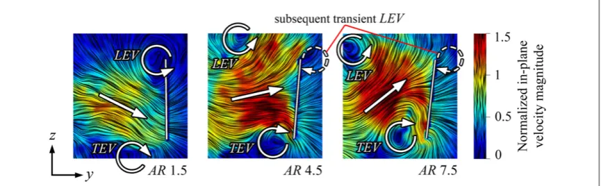 Figure 13. Change in LEVplane velocity magnitude is normalized by/TEV-induced jet direction (white arrow) with increasing AR; chordwise planes of instantaneous LICstreamlines are illustrated for 75% span at the end of the half-stroke (t  =0.5,l = 6.5); the wing chord is shown by a white line; in- ¯vtip.