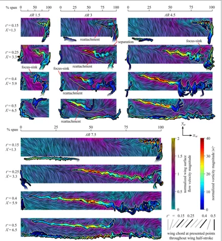 Figure 6. 3Dupper surface with near-surface skin friction lines coloured by in-plane velocity magnitude ﬂow topology evolution throughout half-stroke versus AR; select planform views shown for AR = 1.5, 3, 4.5 and 7.5 wing (normalized by ¯vtip); major vortexstructures highlighted by superimposed streamlines; for each planform view, the leading edge is the top and the wingtip is to the right.