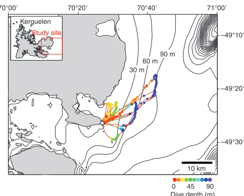 Table 3. Flight behaviour of Kerguelen shags