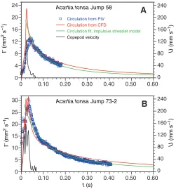 Fig.CFD-simulated circulation data. The PIV observational data were obtainedcirculations of the wake vortex associated with two copepod repositioningjumps: (A) A