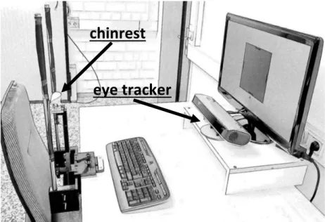 Figure 2.2: Experimental setup: Participants were seated in front of a screen and an eye tracker