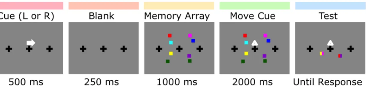 Figure 1. Behavioral procedure for Experiment 1 