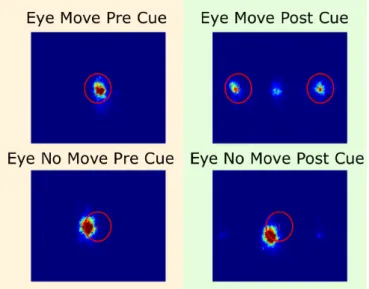 Figure 2. Fixations from Experiment 1 