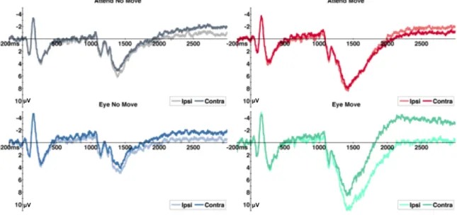 Figure 6. Contralateral and ipsilateral activity for Experiment 1 