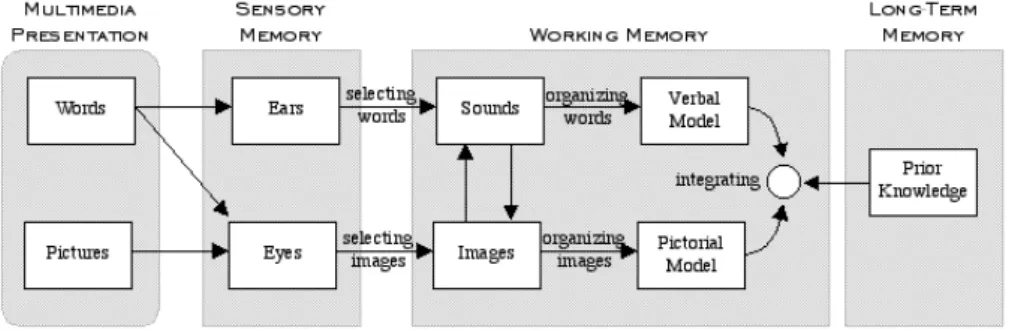 Fig. 1. Information processing via dual learning channels (Figure 3.2 from [9])