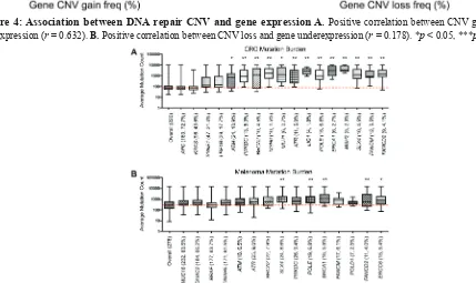 Figure 5: somatic mutational burden in tumors with dnA repair gene mutations. Average A