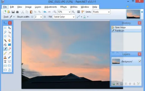 Fig 2: Paint.NET Editor Application 