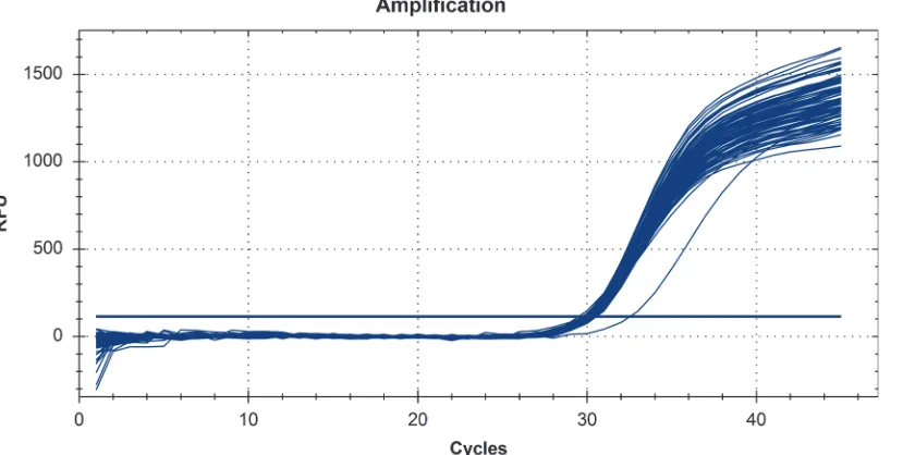 Figure 1. Real-time PCR amplification plot of the gly-A gene, from Campylobacter coli spiked extracted samples from sheep and the controlscontaining only the Campylobacter coli DNA spike