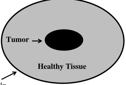 Figure 2.1 A depiction of the diagram that the participants viewed while working on  Duncker’s radiation problem, as adapted from Grant and Spivey (2003)