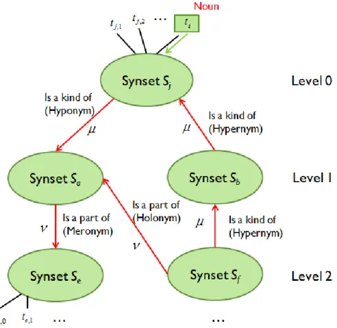 Figure 22.  Example of weighting edges in the tree structure generated for synset 