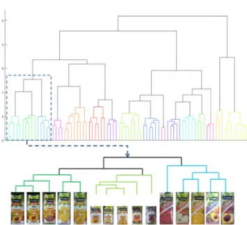 FIGURE 2. Top: Class tree and sub-tress of 80 classes in the Beverage dataset is shown where the vertical axis represents the distance between classes, and the horizontal axis represents the product classes