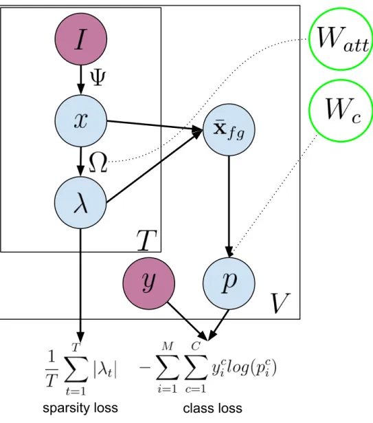 Figure 3.3: Our network is driven by two losses: a weakly supervised classification loss based on the video-level labels, y, and an unsupervised sparsity loss placed on the attention vectors, λ.