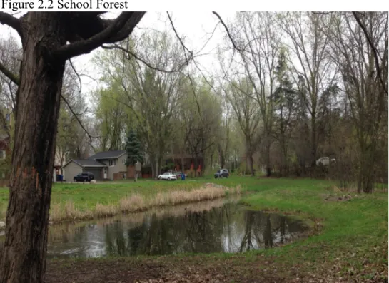 Figure 2.2 School Forest 