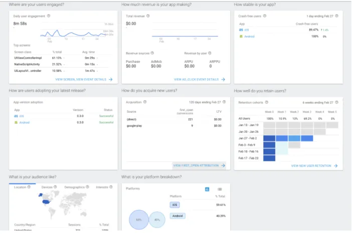Figure 3: Firebase Dashboard