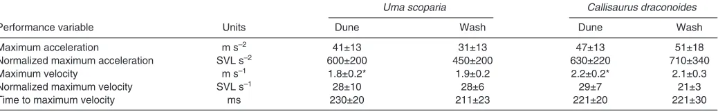 Table 1. Sprinting performance of Uma scoparia and Callisaurus draconoides on dune and wash substrates