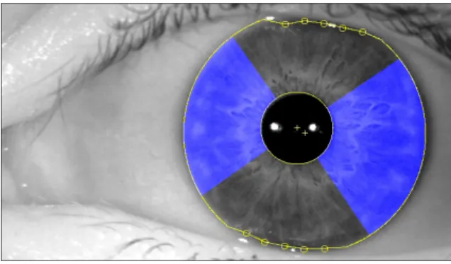 Figure 1.8.: Eye tracking, pupil's features[9]