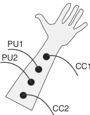Figure 2.8: Four-electrode configuration on the underarm with the current carrying electrodes placed as outer electrodes and pick-up electrodes as inner electrodes