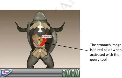 Fig.  5. The  organ is  highlighted  in  red  and the labeling  is  provided  when it is  activated with the  query  tool (Courtesy of Tactus Technology) 