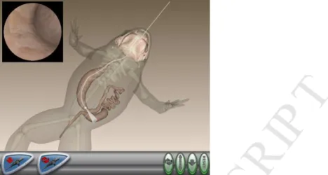 Fig. 3. Using endoscoping tool to explore the alimentary canal (Courtesy of Tactus Technology)  5.4