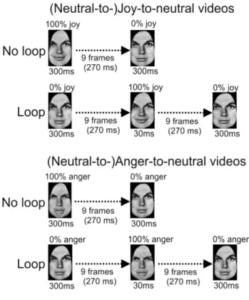 Figure 2.7. Schematic illustration of the stimulus presentations in Experiment 3. (Top  panel) Joy-to-neutral sequence in the No loop condition (top row) and  Neutral-to-joy-to-neutral sequence in the loop condition (bottom row)