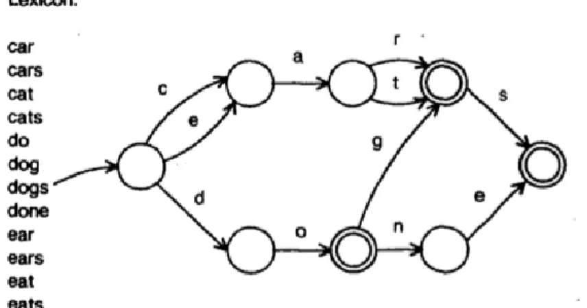Figure 4. DAWG with its lexicon [5] 