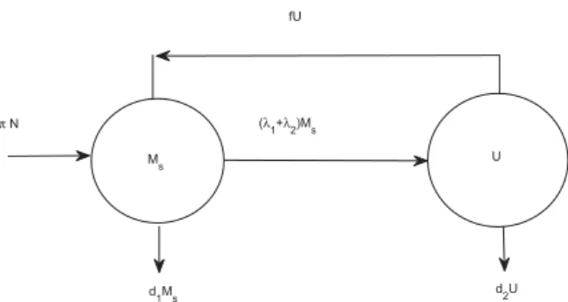 Fig. 1 Compartmental model for knowledge acquisition