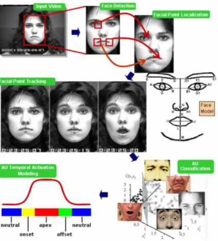 Fig. 1-9 Outline of the upper or the lower face system for recognition of AUs. 