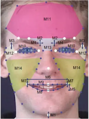 Fig. 1-14 Example of landmarks, geometric features and texture regions. 