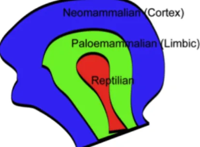 Figure 1: Paul MacLeans triune brain [35].