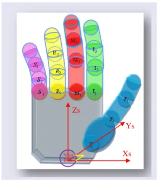 Figure 3-6. Kinematic hand model where T 1 , T 2  and T 3  correspond to JOINT thumbA,  JOINT thumbB and JOINT thumbC in the ‘.BVH’ file