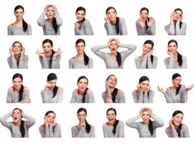 Figure 1. Body language includes different types of nonverbal indicators such as facial expressions, body posture, gestures and eye movements.