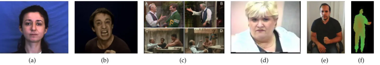 Figure 8. Selected samples from databases containing gesture based expressions of affect: (a) FABO [21], (b) GEMEP-FERA [93], [144], [145], (c) Theater [92], (d) HUMAINE [94], [104], [105], [146], (e) LIRIS-ACCEDE [147], [148], (f) MSR-Action 3D [149].