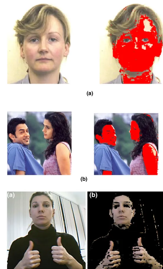 Fig. 4    Image segmentation on  a different background based  on skin colour information