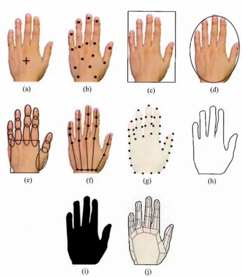 Figure 2-5:  Hand representations with the same posture by different hand models.