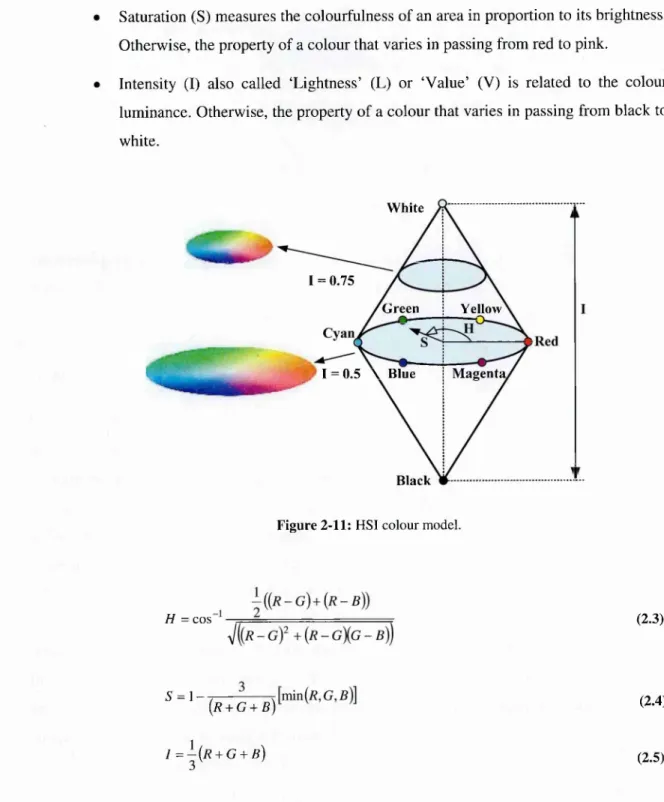 Figure 2-11:  HSI colour model.