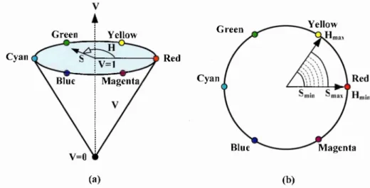 Figure 2-12:  (a) Model  of HSVcolour space based on circular plane,  (b) Skin modelling in  HS  space.
