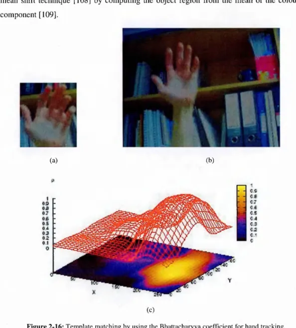 Figure 2-16: Template matching by using the Bhattacharyya coefficient for hand tracking.