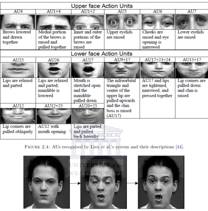 Figure 2.4: AUs recognised by Lien et al.’s system and their descriptions [ 44].