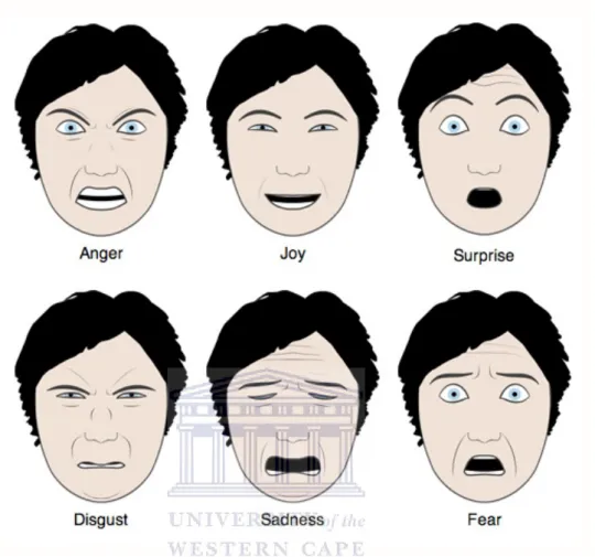 Figure 2.8: The six basic emotional expressions [ 13].