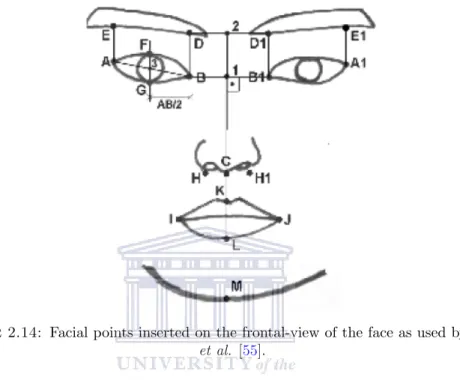 Figure 2.14: Facial points inserted on the frontal-view of the face as used by Pantic et al
