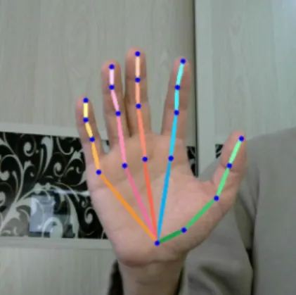 Fig. 1 The hand keypoints