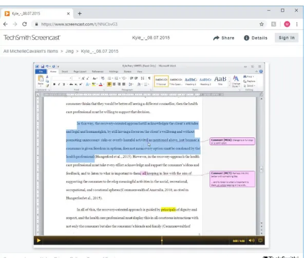Figure 2. Screen shot of an example of the advisor's video feedback using Jing 