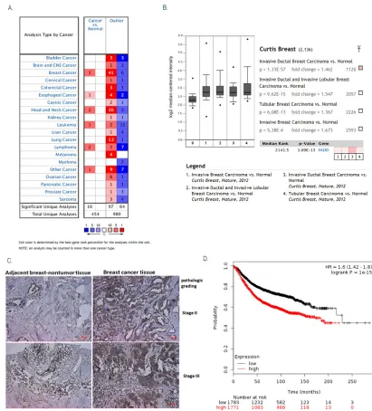 Figure 1: Elevated FADD expression was correlated with human breast cancer progression