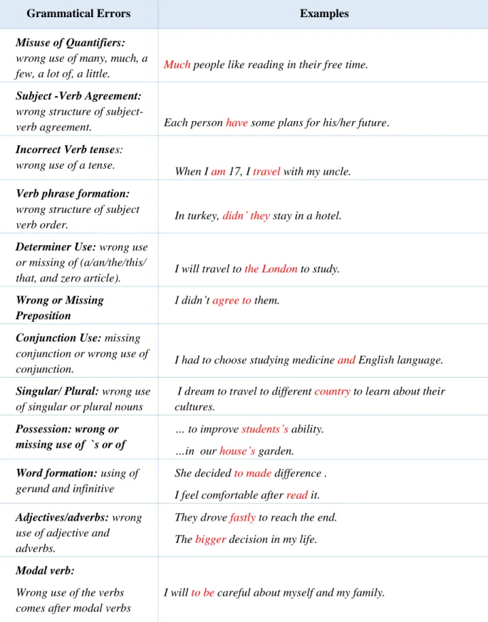 Table 3-1 Error categories adapted from Ferris 2006 