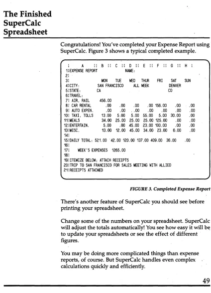 FIGURE 3. Completed Expense Report 
