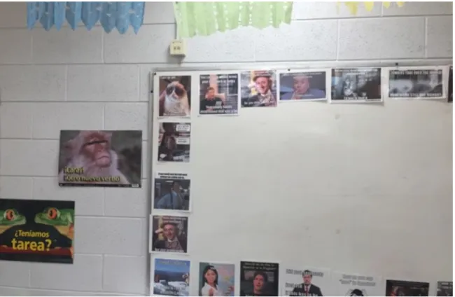 Figure 12: Memes on Madeline’s Wall 