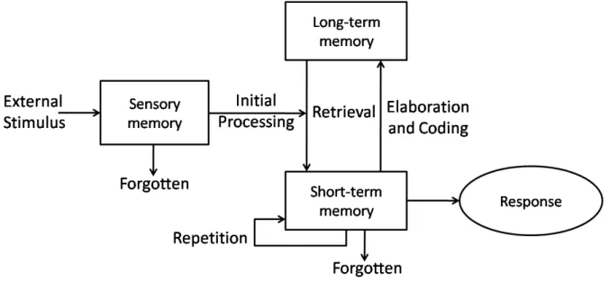 Figure 1.  Human memory processing model. 