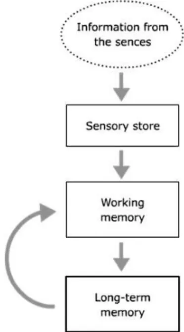 Figure 3: Levels and interactions of mental processes in cognitive learning (adopted  from Ally et al., 2004, p
